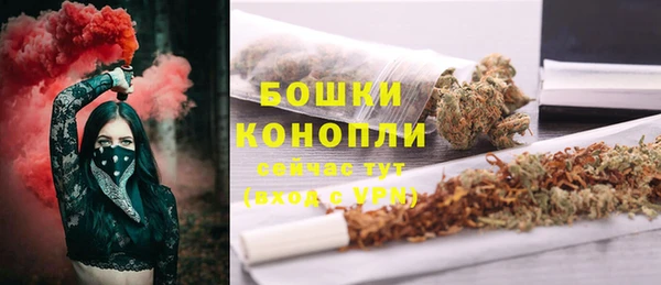 молекула духа Надым