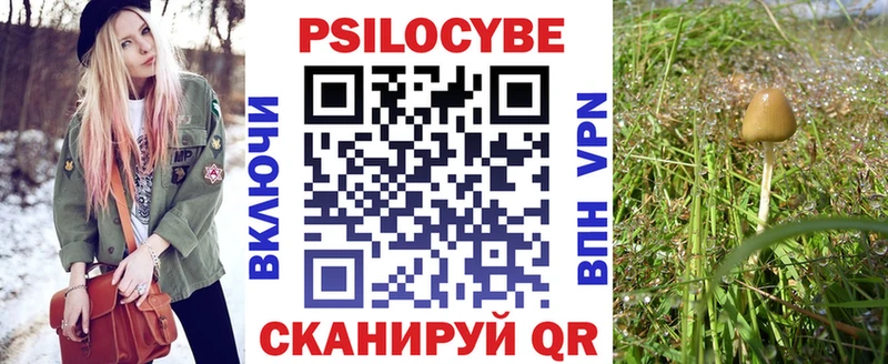 где купить наркоту  Короча  Галлюциногенные грибы мицелий 