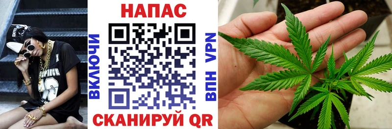 Каннабис индика Короча